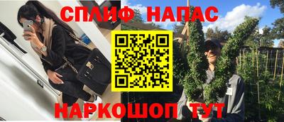 мдпв Гусь-Хрустальный