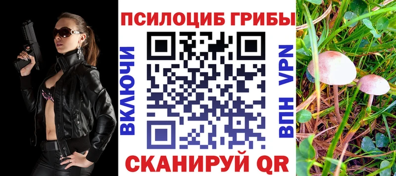 наркошоп  Печора  Галлюциногенные грибы прущие грибы 