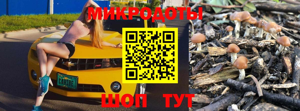 Печора  Галлюциногенные грибы Psilocybe  Вход с VPN 